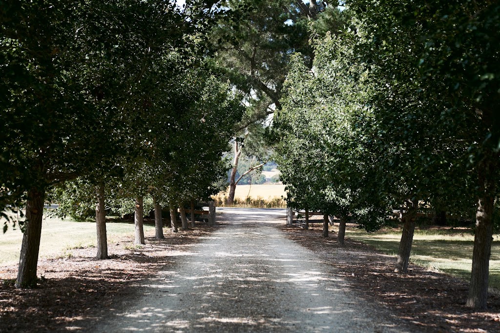 Hanging Rock Truffle Farm | lodging | 569 Romsey Rd, Woodend VIC 3442, Australia | 0418572189 OR +61 418 572 189