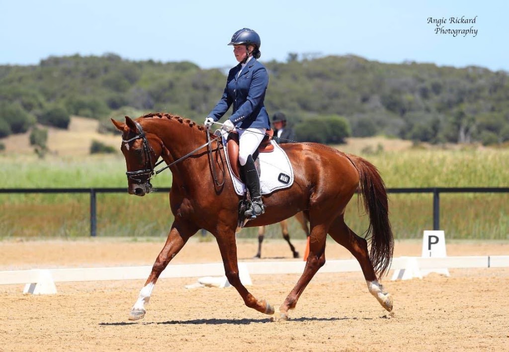 Symmetry Saddle Fitting | 925 Frankston - Flinders Rd, Somerville VIC 3912, Australia | Phone: 0487 187 240