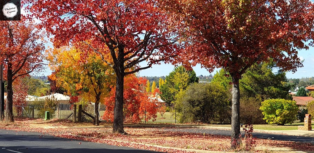 Armidale Cemetery | museum | 1-29 Memorial Ave, Soudan Heights NSW 2350, Australia