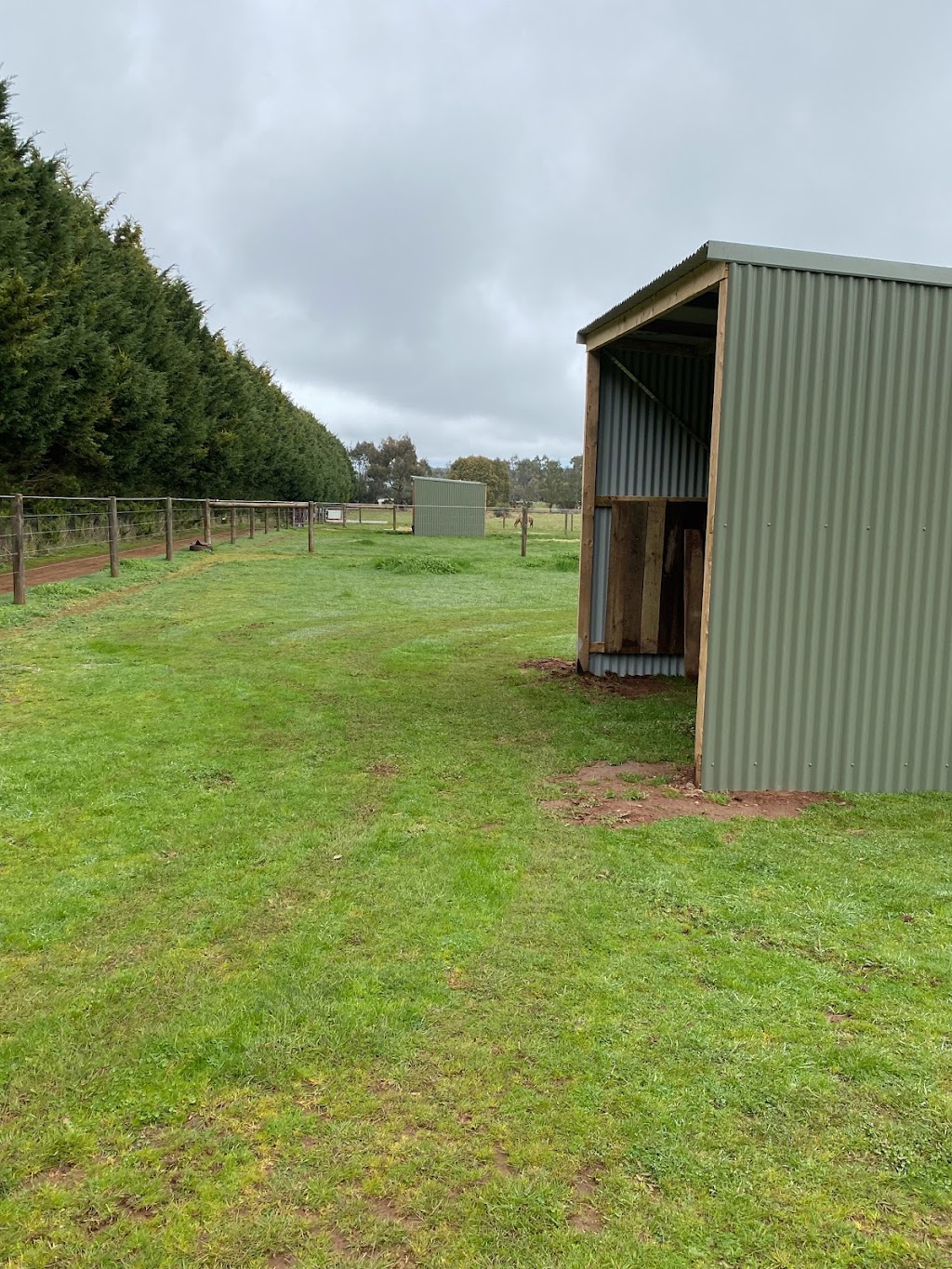 Kaidon park equine salt therapy and rehab | Ochiltrees Rd, Romsey VIC 3434, Australia | Phone: 0429 210 080