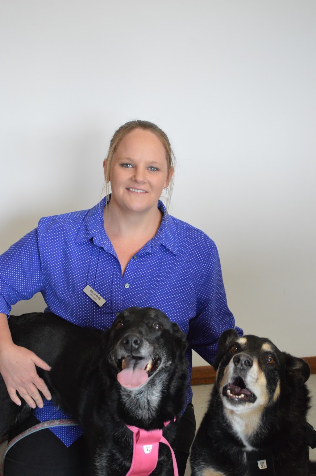 Pets Health OHalloran Hill Vet Centre | veterinary care | 123 Main S Rd, OHalloran Hill SA 5158, Australia | 0883812300 OR +61 8 8381 2300