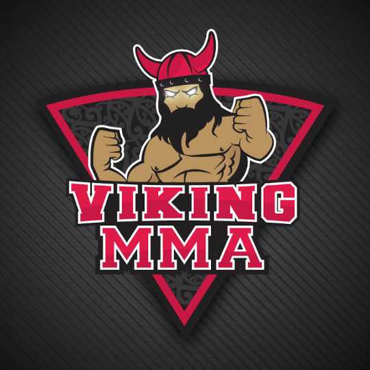 Viking MMA | gym | 8 Eucla Rd, Gwandalan NSW 2259, Australia | 0488990548 OR +61 488 990 548