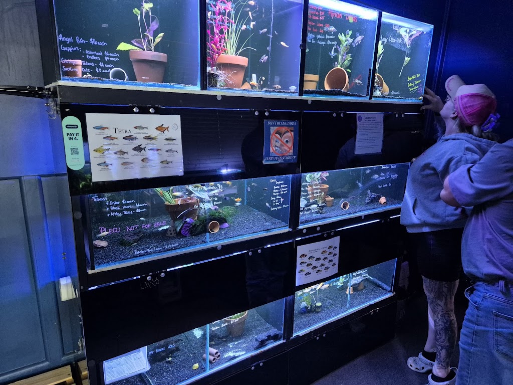 Fins and Fur | 52 Marshall St, Goondiwindi QLD 4390, Australia | Phone: 0448 507 158