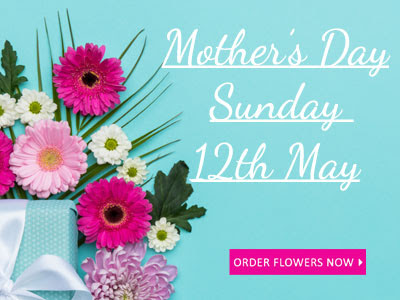 Patreenas Flower Studio | 25A Hales St, Wynyard TAS 7325, Australia | Phone: (03) 6442 1482