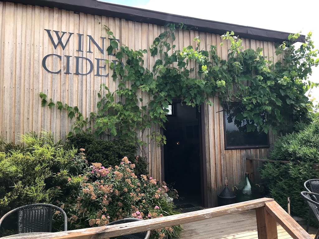 Winter Brook Vineyard | 150 Hjorts Rd, Loira TAS 7275, Australia | Phone: 0457 429 432