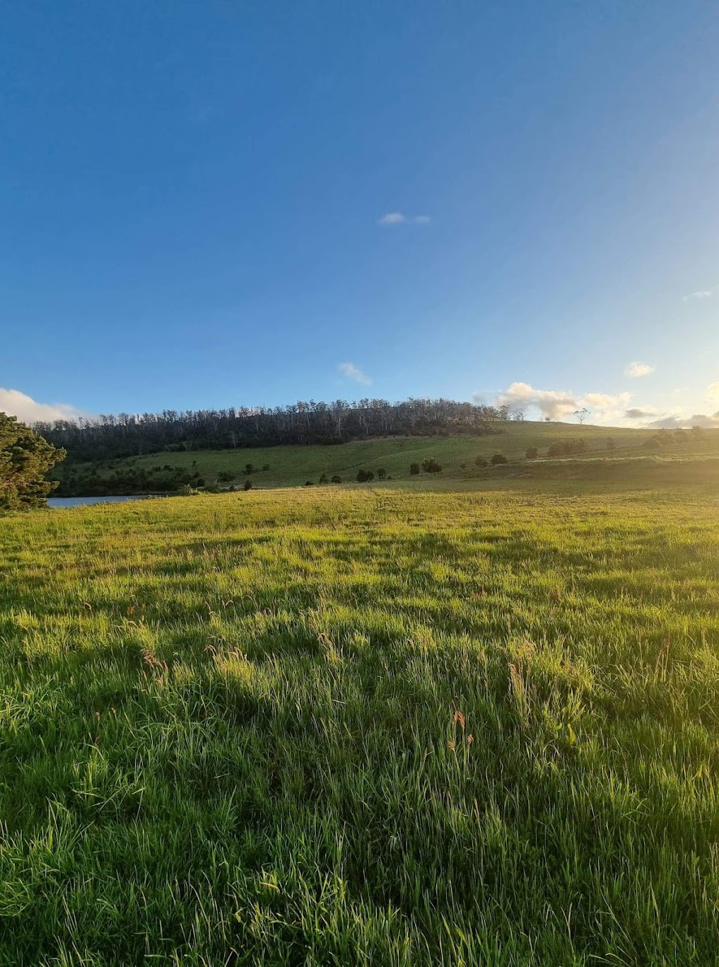 Carlton River RV Park | 104 Primrose Sands Rd, Carlton River TAS 7173, Australia | Phone: 1300 104 173 Carlton River RV Park | 104 Primrose Sands Rd, Carlton River TAS 7173, Australia | Phone: 1300 104 173