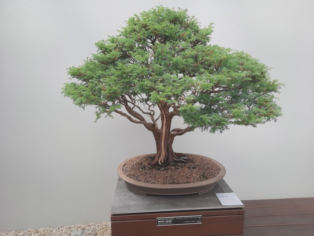 The National Bonsai and Penjing Collection | tourist attraction | Forest Dr, Molonglo Valley ACT 2611, Australia | 0262078484 OR +61 2 6207 8484