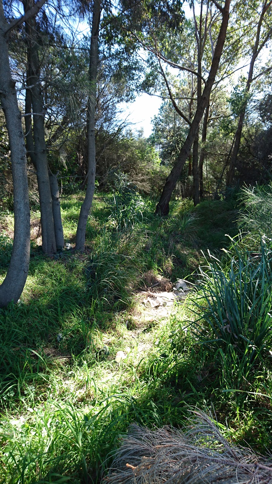 Quibray Bay Viewing Platform | park | Australia, New South Wales, Kurnell, 澳洲邮政编码: 2231 | 0296682000 OR +61 2 9668 2000