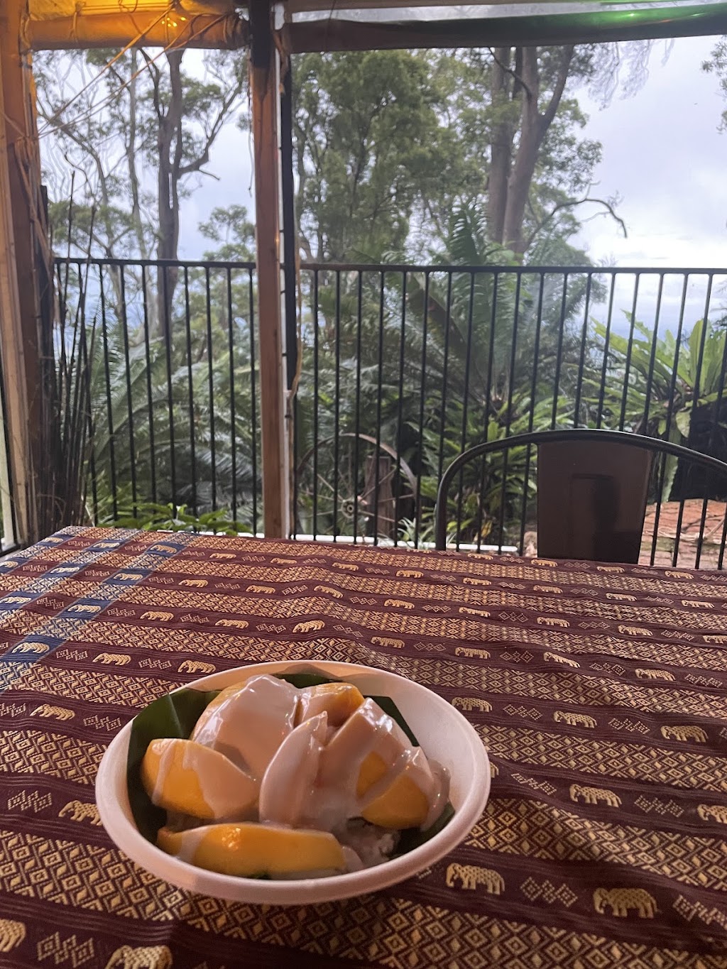 Pinto Thai Station | 499/505 Main Western Rd, Tamborine Mountain QLD 4272, Australia | Phone: 0428 314 288