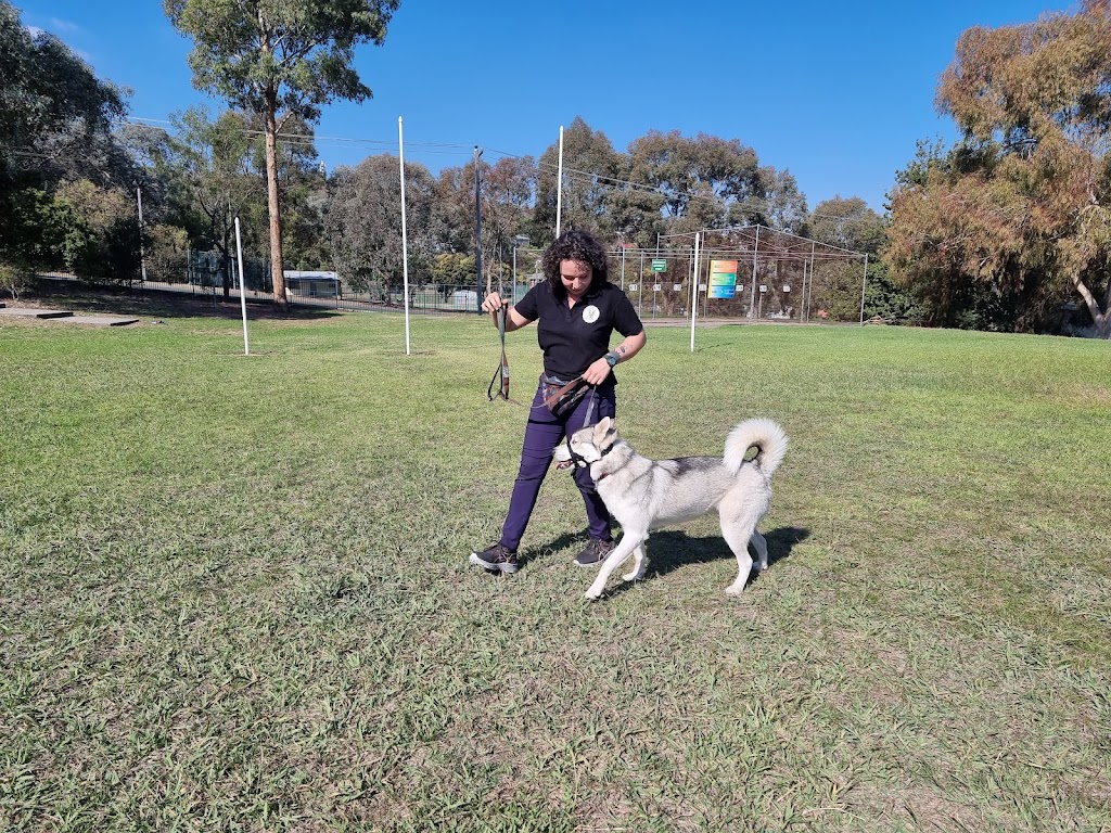 Sit, Stay, Succeed ! Dog training | Surrounding, Beechworth VIC 3747, Australia | Phone: 0468 840 675