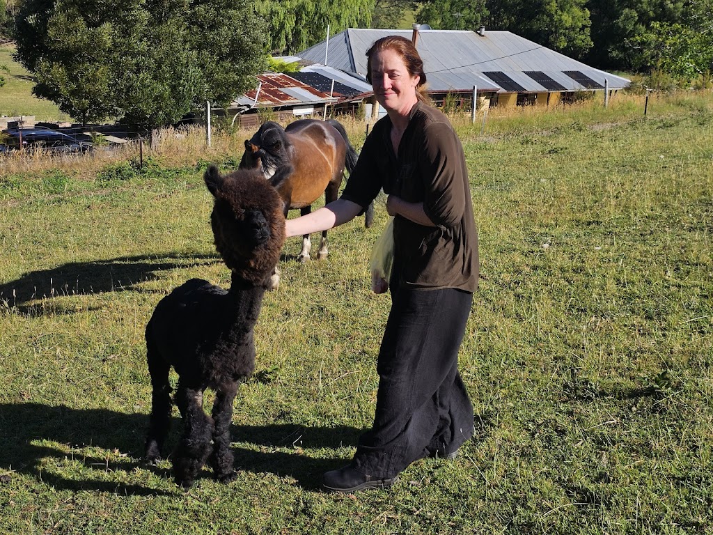 The Hammock Farm | 135 Delpretes Rd, Caringal VIC 3825, Australia | Phone: 0412 220 596