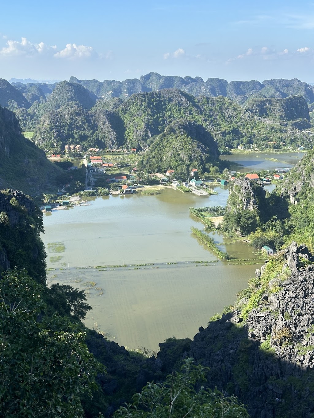 Bee Inspired Travel | 4/10 Mackey St, Longwarry VIC 3816, Australia | Phone: 0468 487 285