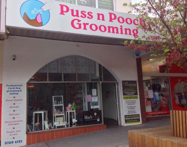 Puss n Pooch Grooming | 409 Princes Hwy, Officer VIC 3809, Australia | Phone: 0458 777 338