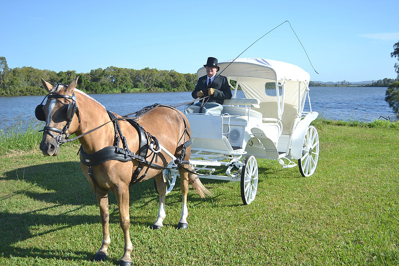 Northern Rivers Carriage Occasions | travel agency | 2092 Summerland Way, Grafton NSW 2460, Australia | 0266446264 OR +61 2 6644 6264