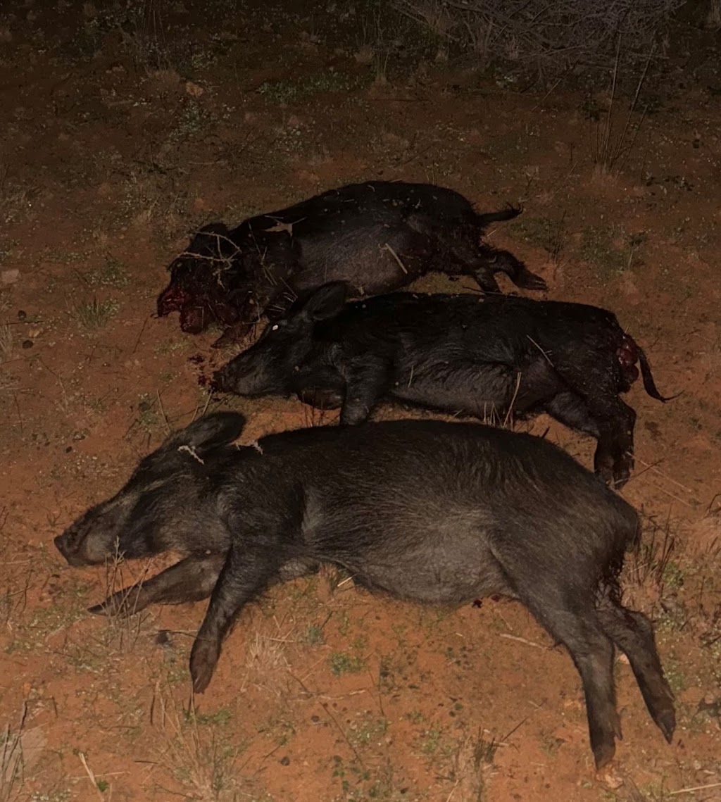 Davrac Rural Pest Services | Curries Rd, Dubbo NSW 2830, Australia | Phone: 0414 603 151