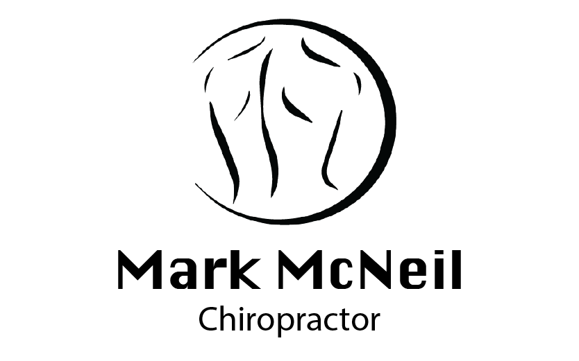 Mark McNeil Chiropractor | 28 Mount View Ave, Hazelbrook NSW 2779, Australia | Phone: 0405 249 300