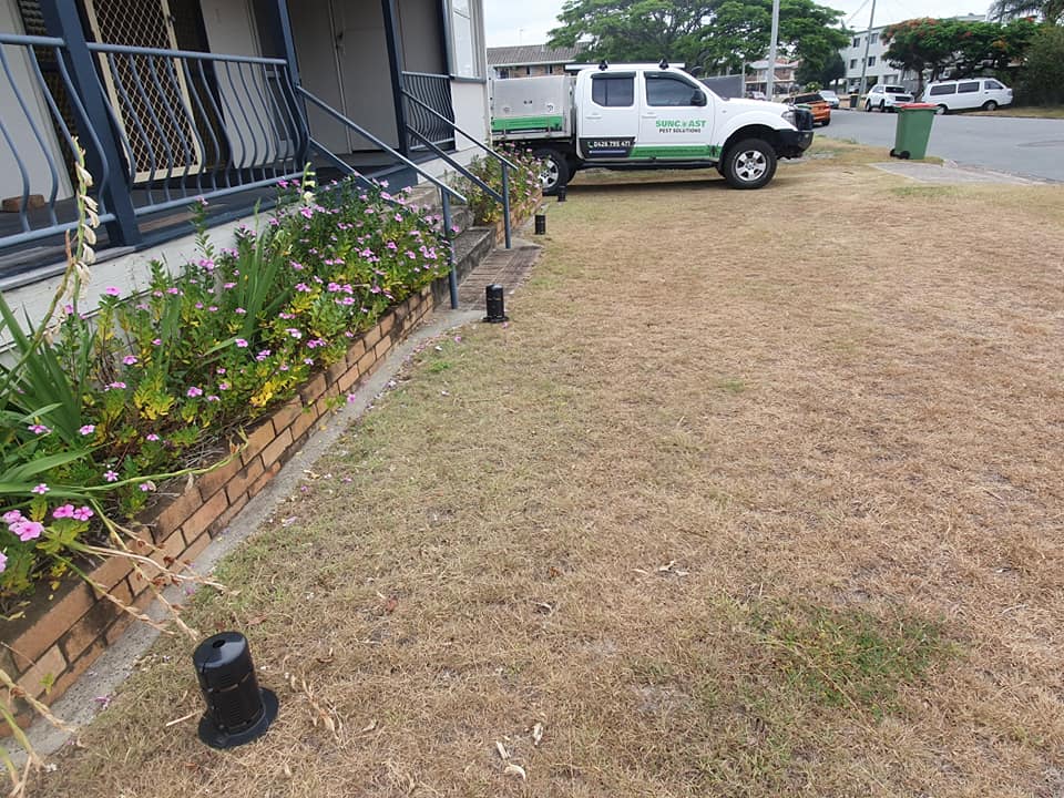 Suncoast Pest Solutions | 6 Holmes St, Currimundi QLD 4551, Australia | Phone: 0426 795 471