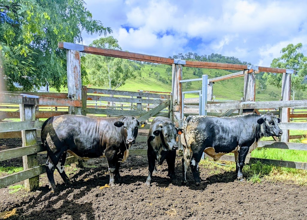 Ladybrook Farm | 2763 Kerry Rd, Darlington QLD 4285, Australia | Phone: 0409 267 039