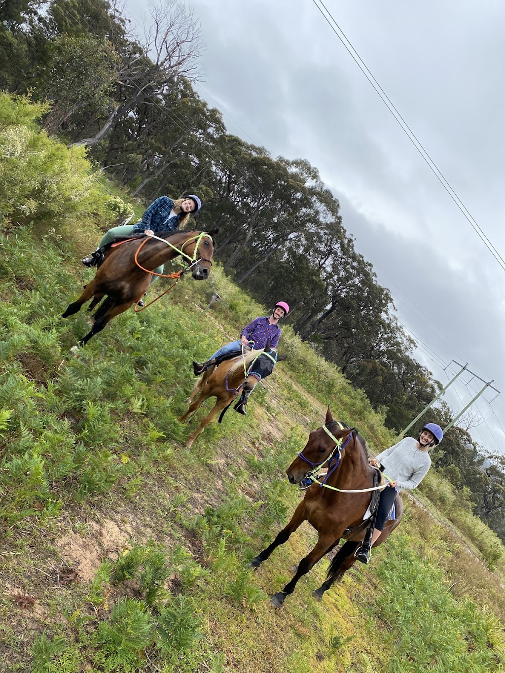 Canyonleigh Trails | 2400 Canyonleigh Rd, Canyonleigh NSW 2577, Australia | Phone: 0490 205 505