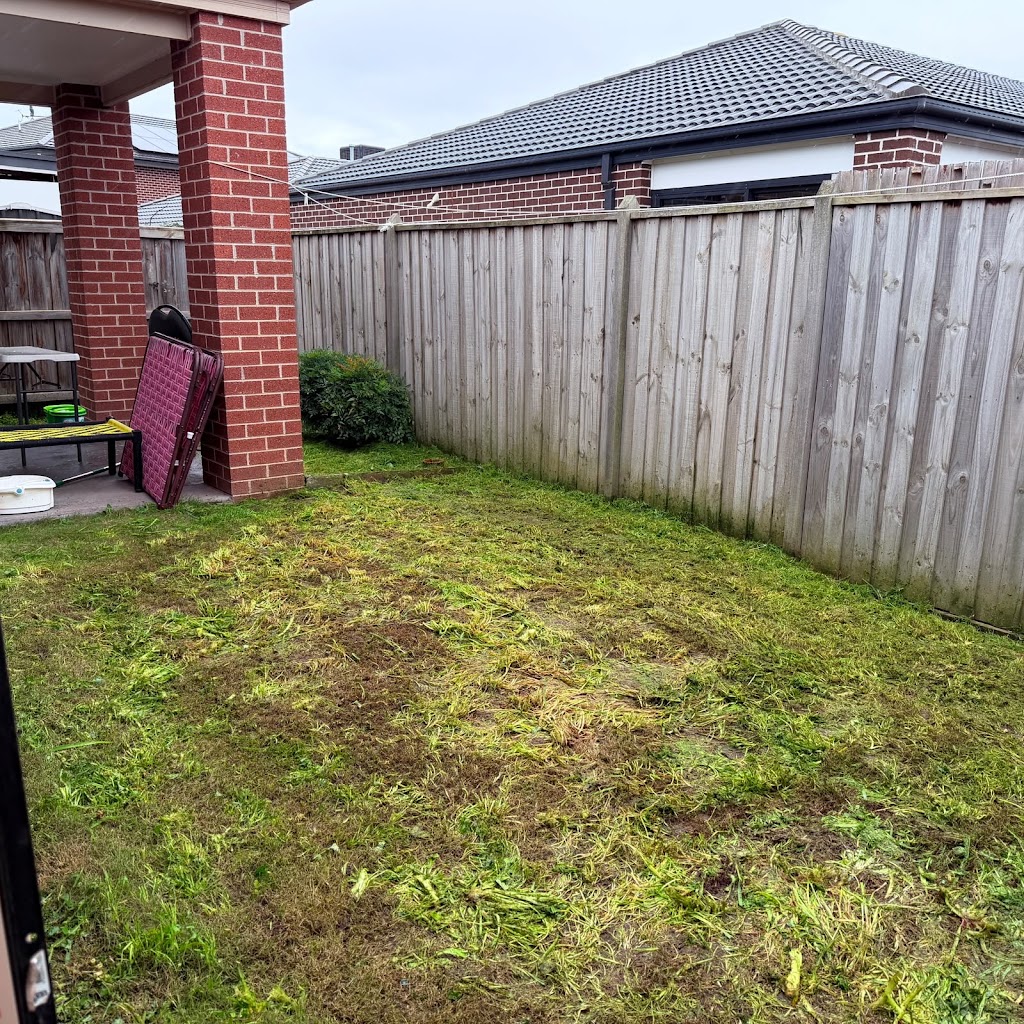 Tidy Up Cleaning VIC | 36 Silver Gum Dr, Pakenham VIC 3810, Australia | Phone: 0420 741 582