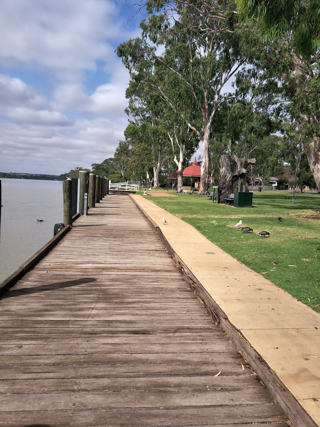 Mannum Bowling Club | 55 Randell St, Mannum SA 5238, Australia | Phone: (08) 8569 1499