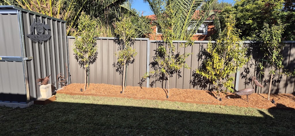 Protea Landscapes | 72 St Georges Cres, Faulconbridge NSW 2776, Australia | Phone: 0494 315 332