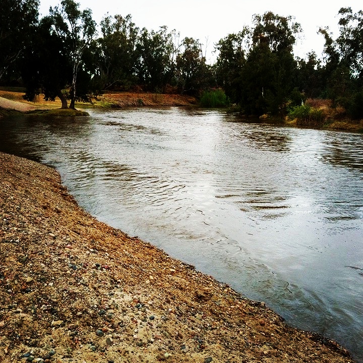 Pallamallawa Fishing Club Memorial Park | park | 55 Warialda St, Pallamallawa NSW 2399, Australia