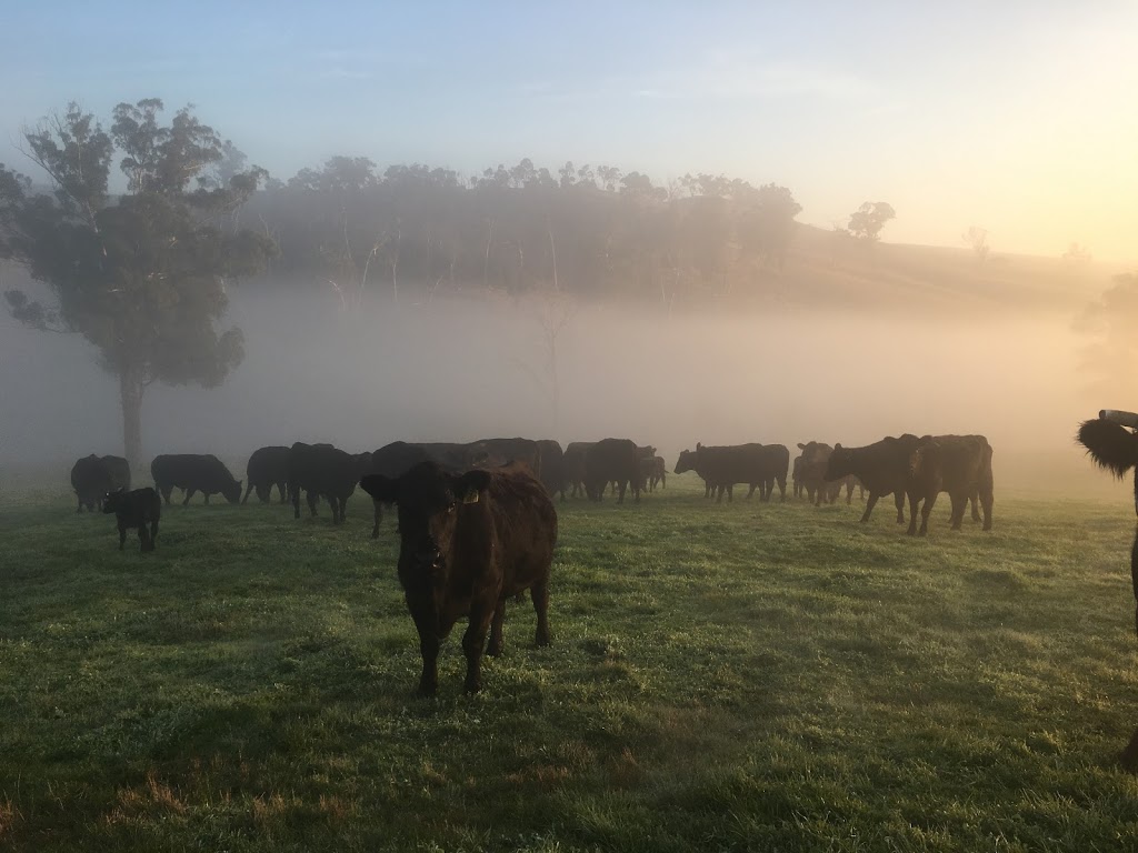 Broadford Veterinary Clinic | pharmacy | 107 High St, Broadford VIC 3658, Australia | 0357841088 OR +61 3 5784 1088