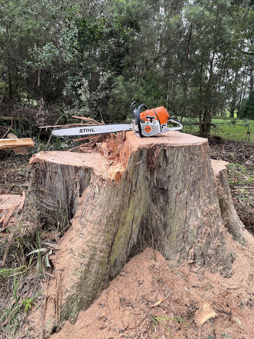 KMS Tree Services | Cotton St, Latrobe TAS 7307, Australia | Phone: 0408 642 728