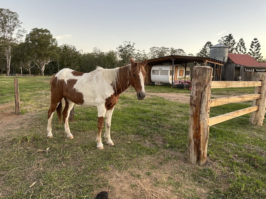 Cromwell Farms Glenugie Station | 23 Eight Mile Ln, Glenugie NSW 2460, Australia | Phone: 0447 755 440