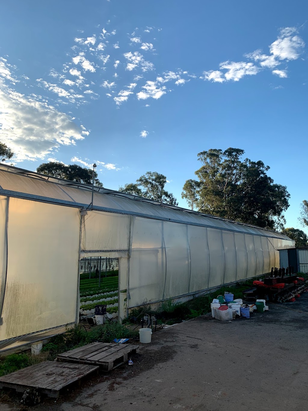 MANZ Greenhouse Supply | food | Wynyard Ave, Rossmore NSW 2557, Australia | 0451136800 OR +61 451 136 800
