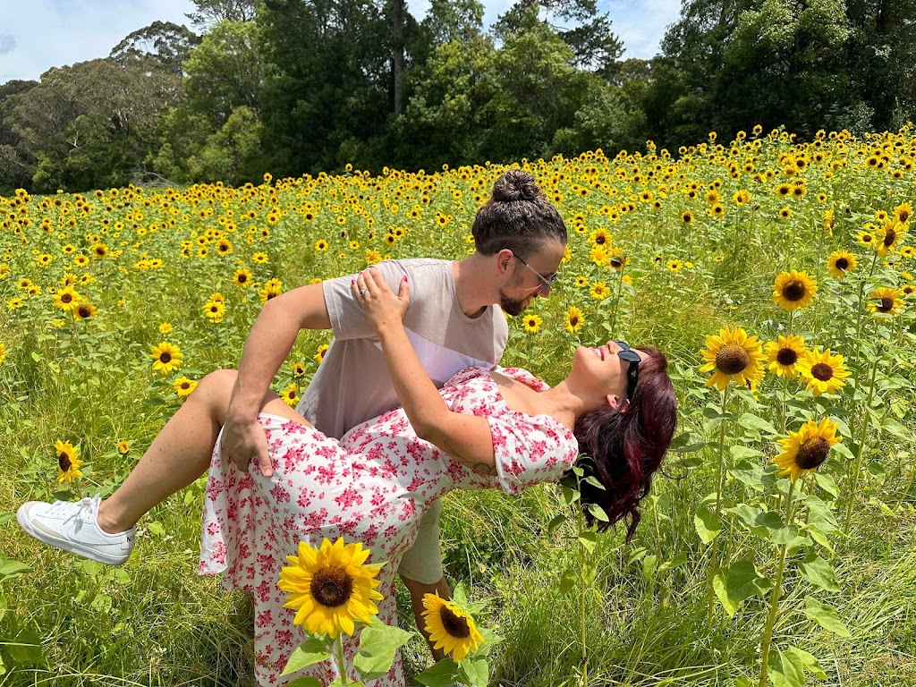 The Bloom Barn Farm | 1154 Peats Ridge Rd, Peats Ridge NSW 2250, Australia | Phone: 0455 246 789