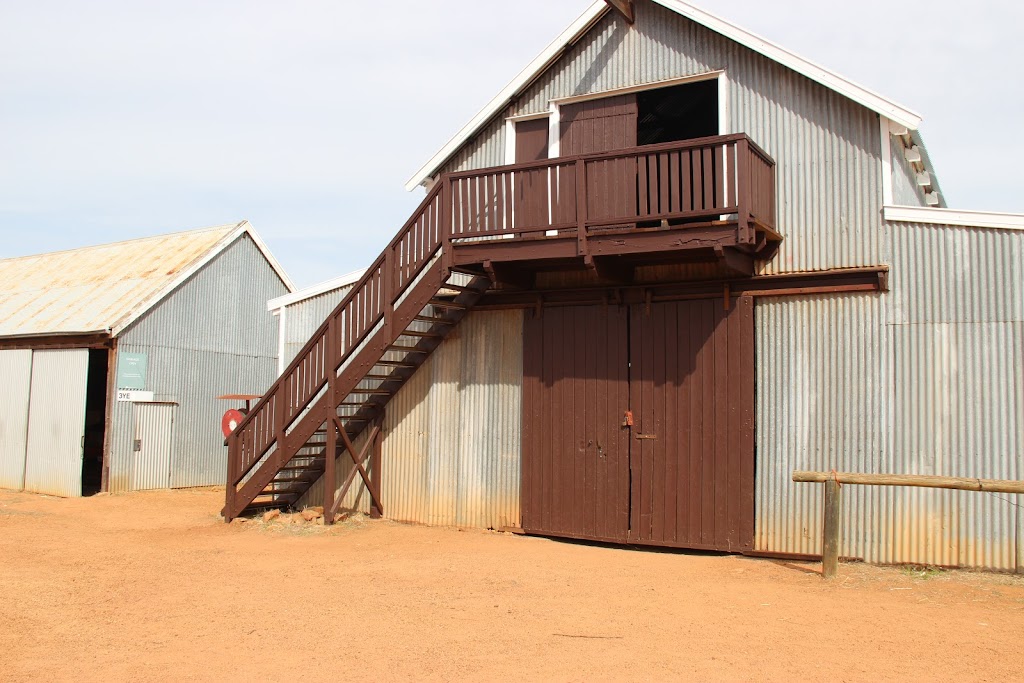 Avondale Stables | Beverley WA 6304, Australia | Phone: (08) 9646 1107