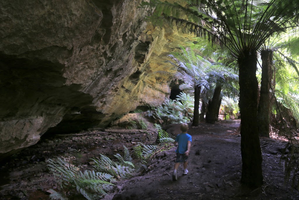 Start Trail to the Glow-worm Tunnel | Old Coach Rd, Wolgan Valley NSW 2790, Australia