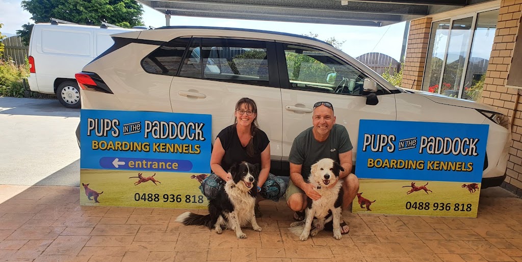 PUPS in the Paddock |  | 635 Calder Rd, Calder TAS 7325, Australia | 0488936818 OR +61 488 936 818