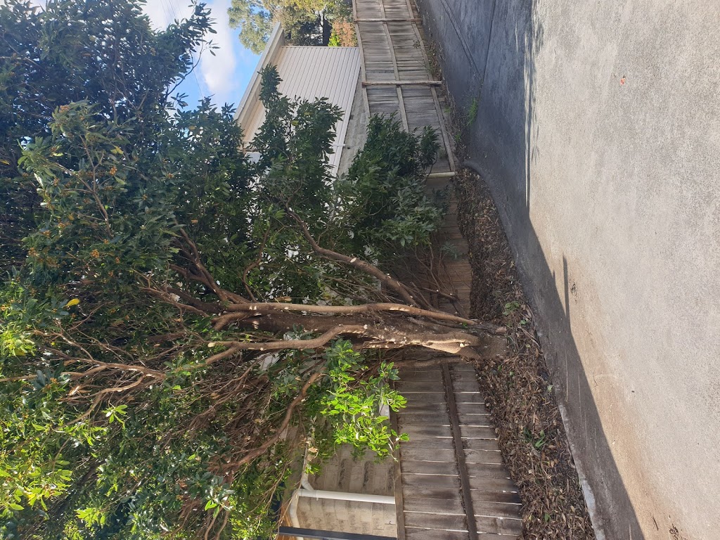 Arbor Co Tasmania | 51 Opus Dr, Acton Park TAS 7170, Australia | Phone: 0413 321 333