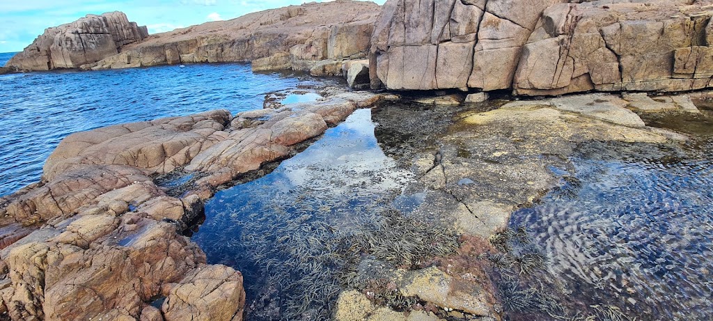 Rock Pool - swimming and observing sea flora and fish | 3 Noamunga St, Boat Harbour NSW 2316, Australia | Phone: 0437 476 412