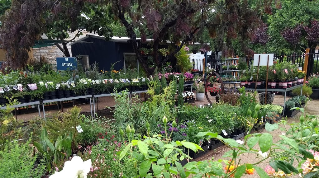 The Rose Tree Garden Centre | 102 Queen St, Berry NSW 2535, Australia | Phone: 0478 429 768