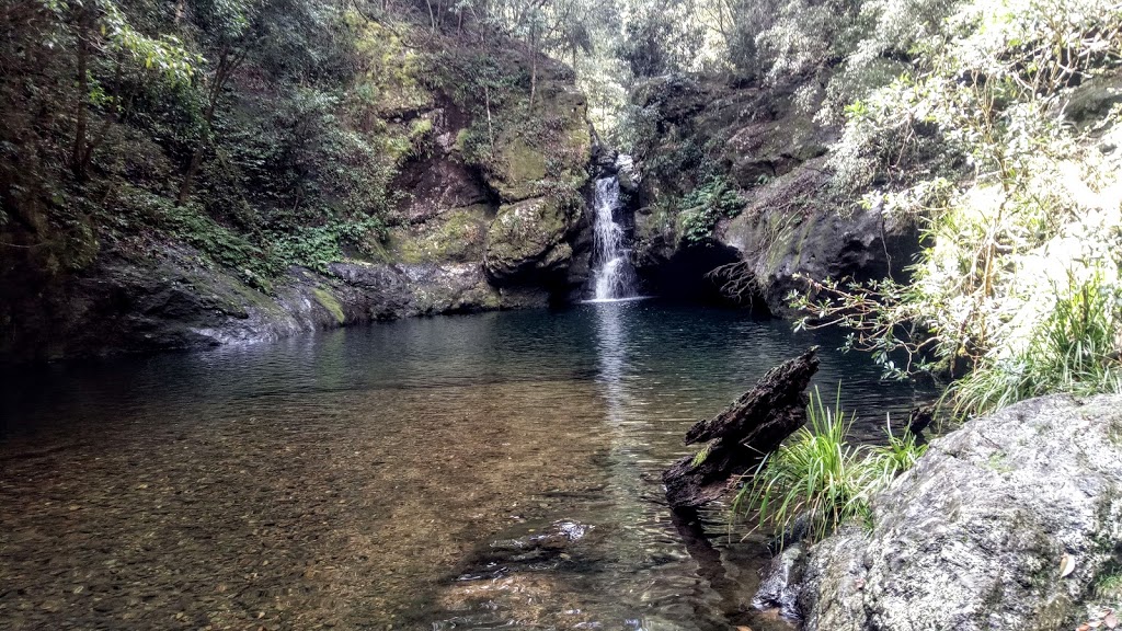 Tapin Tops National Park | Dingo Forest NSW 2429, Australia