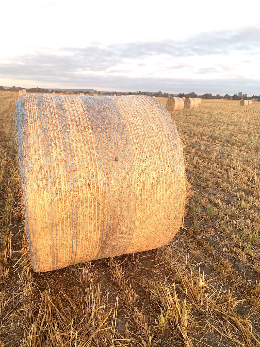 Kingdom Cottages Farm Stay - Gulgong furnished accommodation | 21 Shepherds La (Off, Old Mill Rd, Gulgong NSW 2852, Australia | Phone: 0448 607 680