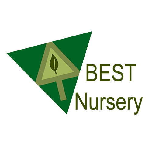 BEST Nursery | store | Lot 2 Warialda Road, Inverell NSW 2360, Australia | 0267224200 OR +61 2 6722 4200