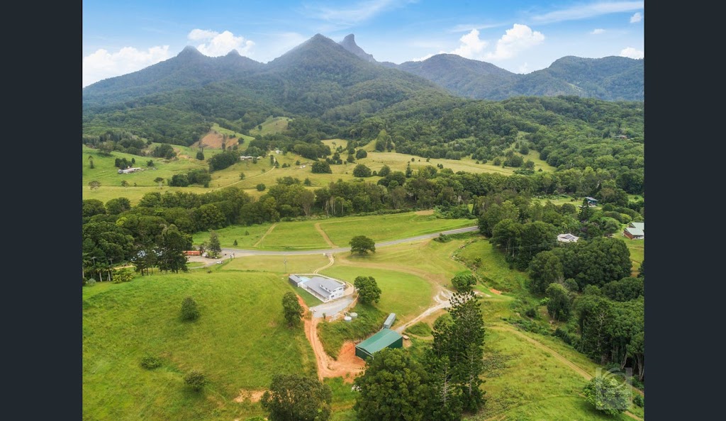 Uki Hillside Retreat | 1279 Kyogle Rd, Uki NSW 2484, Australia | Phone: 0427 493 256