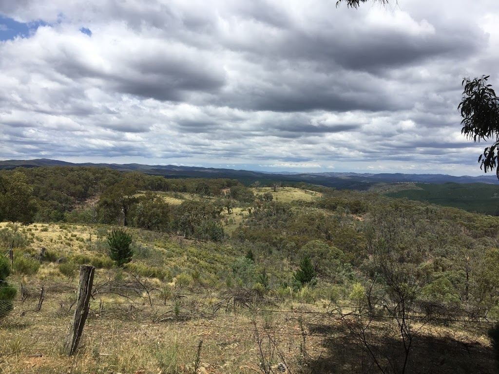 Pennsylvania State Forest | Carrollina Rd, Colo NSW 2795, Australia