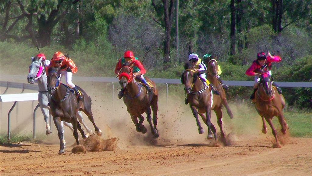 Miles & District Amateur Picnic Race Club | Racecourse Rd, Miles QLD 4415, Australia | Phone: 0427 545 902