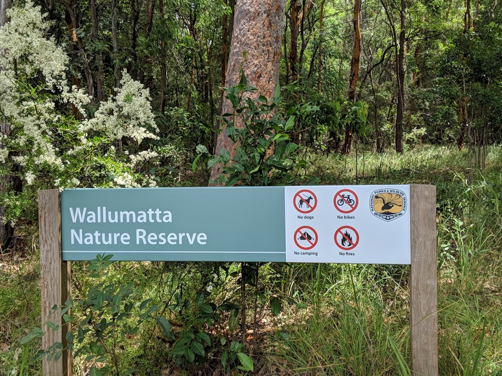 Wallumatta Nature Reserve | North Ryde NSW 2113, Australia