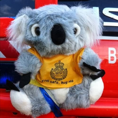 Bungendore Rural Fire Brigade | 28 King St, Bungendore NSW 2621, Australia | Phone: (02) 6238 1292