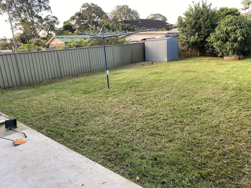 Down and Out Pest Control/Property Services | all areas, 20 Magree Crescent, Chipping Norton NSW 2170, Australia | Phone: 0412 463 242