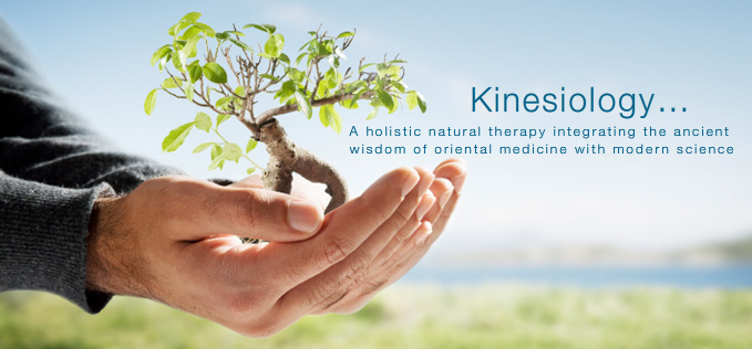Kinesiology Connection | school | 982-984 Toorak Rd, Camberwell VIC 3124, Australia | 0398196835 OR +61 3 9819 6835