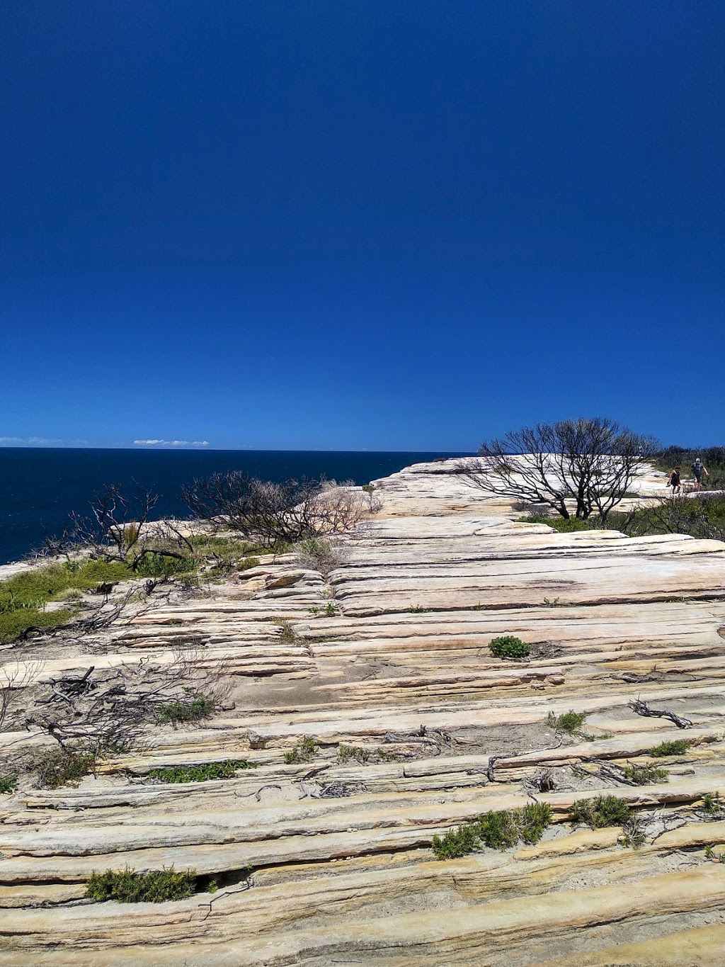 Cape Baily Track | Kurnell NSW 2231, Australia | Phone: (02) 9668 2010