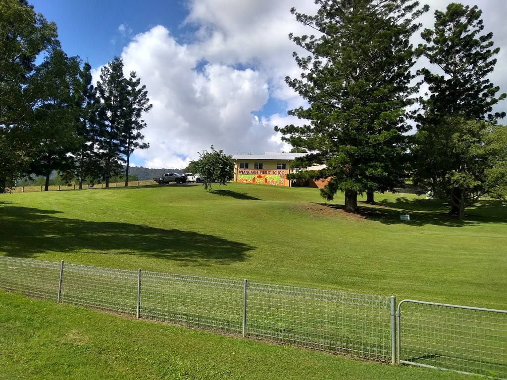 Wiangaree Public School | school | Kunghur St, Wiangaree NSW 2474, Australia | 0266362163 OR +61 2 6636 2163